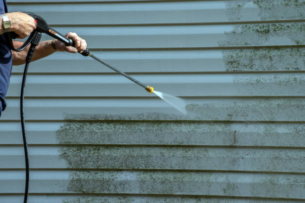 Professional Pressure Washing in Tama, IA