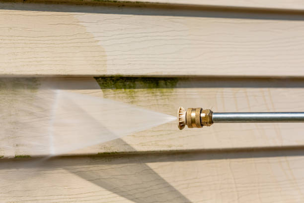 Best Affordable Power Washing  in Tama, IA