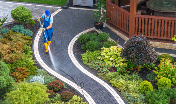  Tama, IA Pressure Washing Pros
