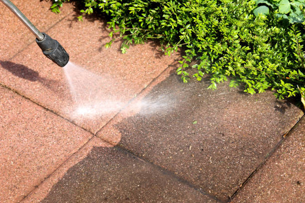 Best House Pressure Washing  in Tama, IA